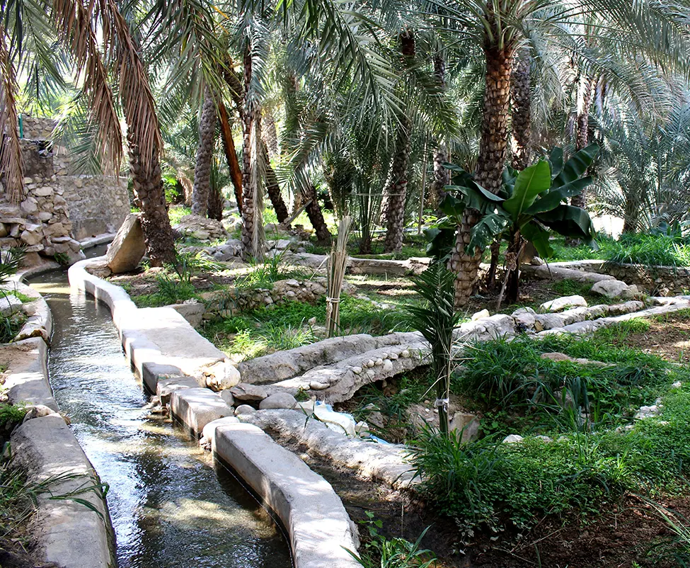 L-ingeniosite des systemes d-irrigation Aflaj