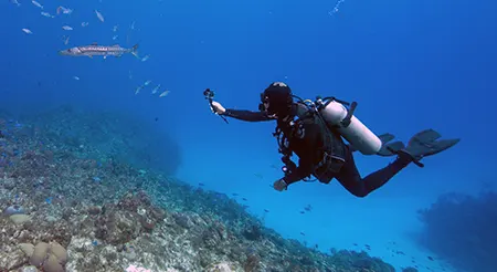 Plongee aux iles Daymaniyat